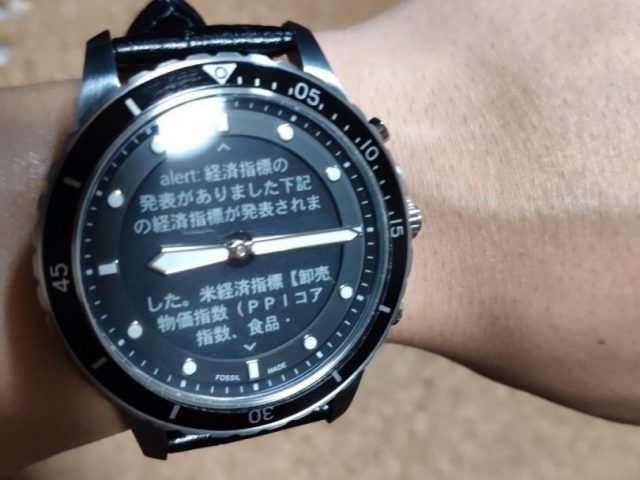 Fossil Hybrid HR レビュー【実際に長期間利用してみて】 20 フォッシル ハイブリッドHR