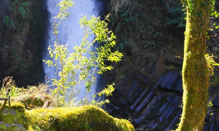 【日本一周】47都道府県制覇の軌跡 in my car! Part20.静岡県(南伊豆) 3 浄蓮の滝