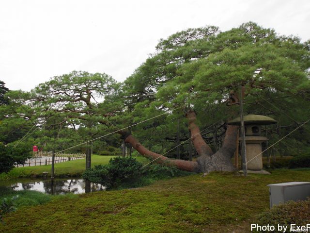【日本一周】47都道府県制覇の軌跡 in my car! Part19.石川県 29 兼六園