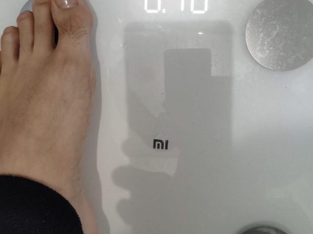 Xiaomi Mi Body Composition Scale 2 レビュー【10種類のデータをスマホで管理】 6 Xiaomi Mi Body Composition Scale 2