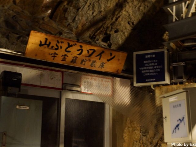 【日本一周】47都道府県制覇の軌跡 in my car! Part4.岩手県 31 龍泉洞