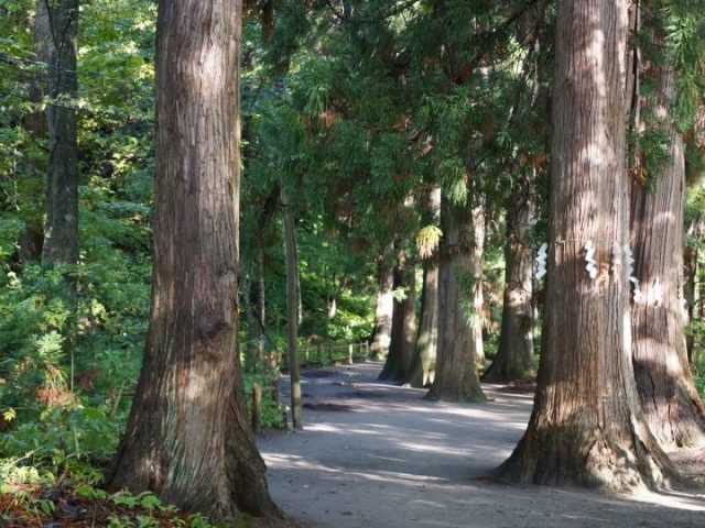 【日本一周】47都道府県制覇の軌跡 in my car! Part5.青森県 6 十和田神社
