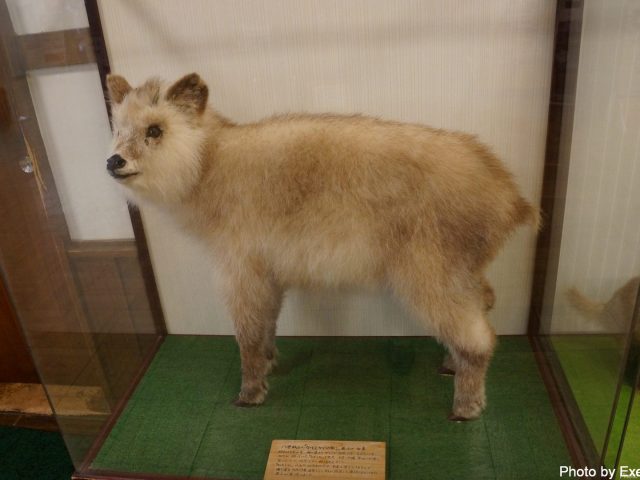 【日本一周】47都道府県制覇の軌跡 in my car! Part5.青森県 18 酸ヶ湯温泉