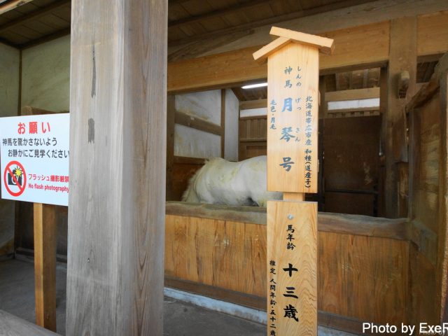 【日本一周】47都道府県制覇の軌跡 in my car! Part8.香川県 8 金刀比羅宮