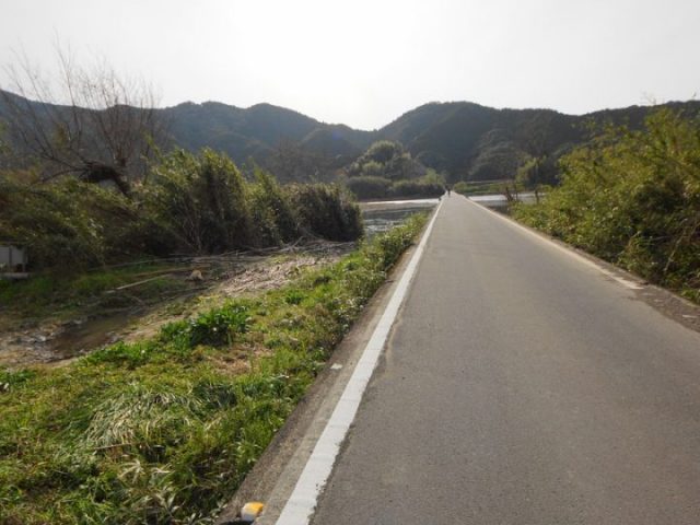 佐田沈下橋