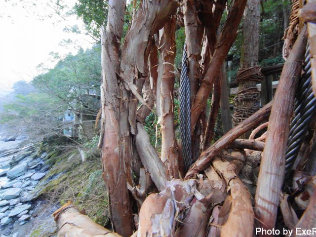 【日本一周】47都道府県制覇の軌跡 in my car! Part11.徳島県 5 祖谷のかずら橋