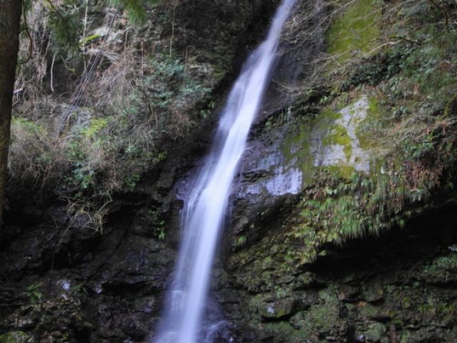 【日本一周】47都道府県制覇の軌跡 in my car! Part11.徳島県 6 祖谷のかずら橋