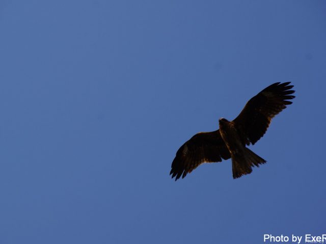 【日本一周】47都道府県制覇の軌跡 in my car! Part11.徳島県 26 室戸ジオパークスカイラインサイト展望台