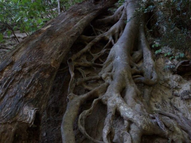 【日本一周】47都道府県制覇の軌跡 in my car! Part16.鳥取県 6 三佛寺投入堂