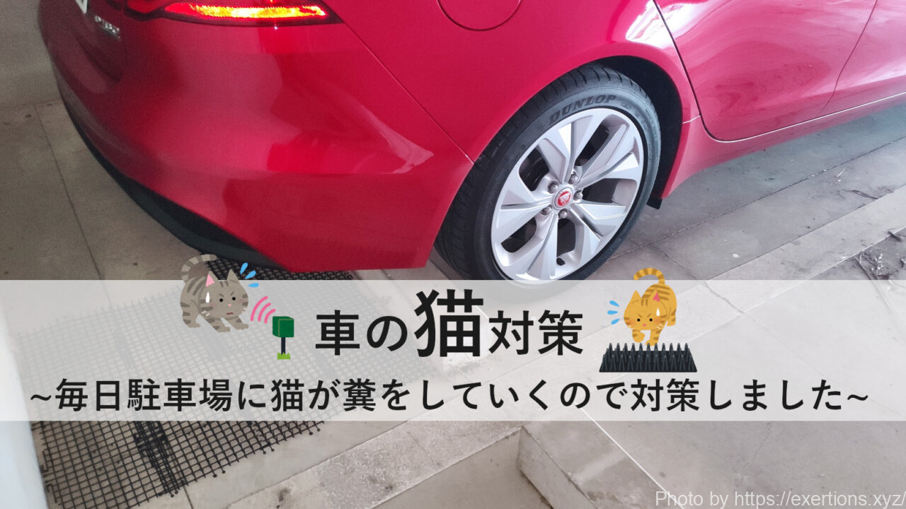 車の猫対策 駐車場に猫が毎日来るので対策してみた Exertionのジャガーxeとrx 8とウェアラブルを愛するブログ