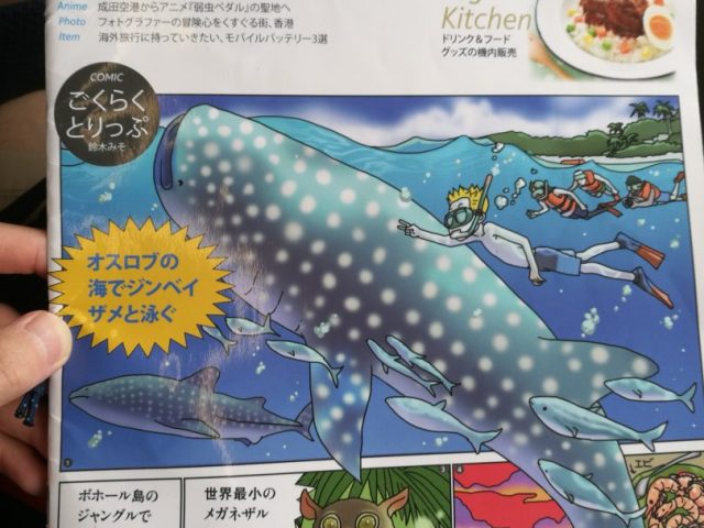 フィリピンの入国書類の書き方、入国審査の流れ【セブ旅行】 3 フィリピン 入国カード 書き方